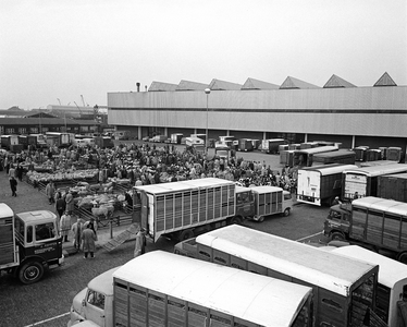 851568 Overzicht van de schapen- en kalverenmarkt op het veemarktterrein bij de Croeselaan te Utrecht, tijdens ...